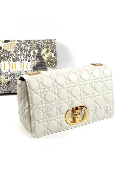 Женская сумка Christian Dior B107920