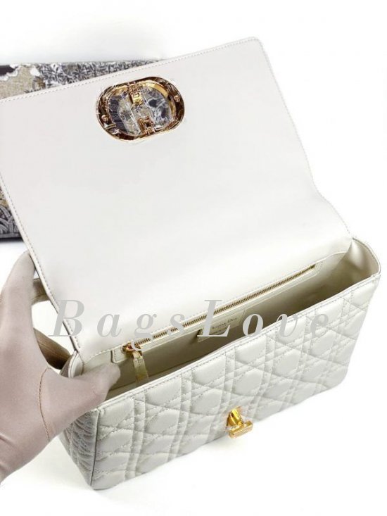 Женская сумка Christian Dior B107920