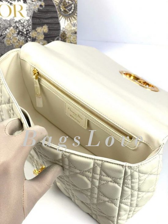 Женская сумка Christian Dior B107920