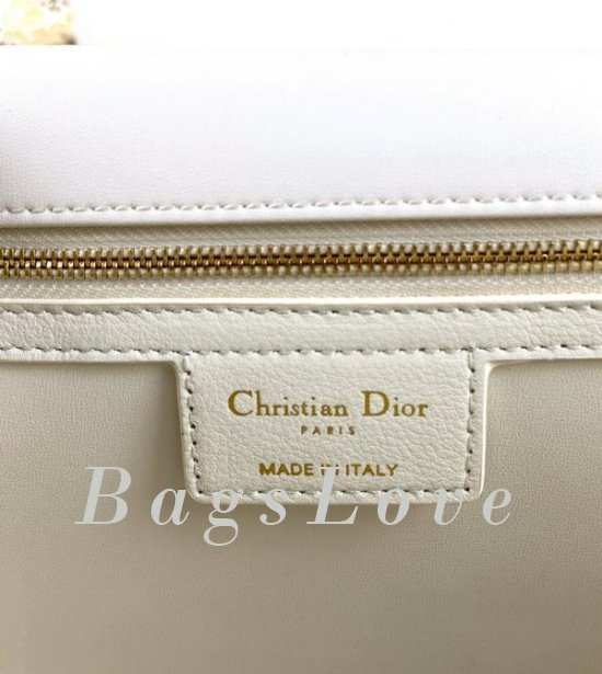 Женская сумка Christian Dior B107920