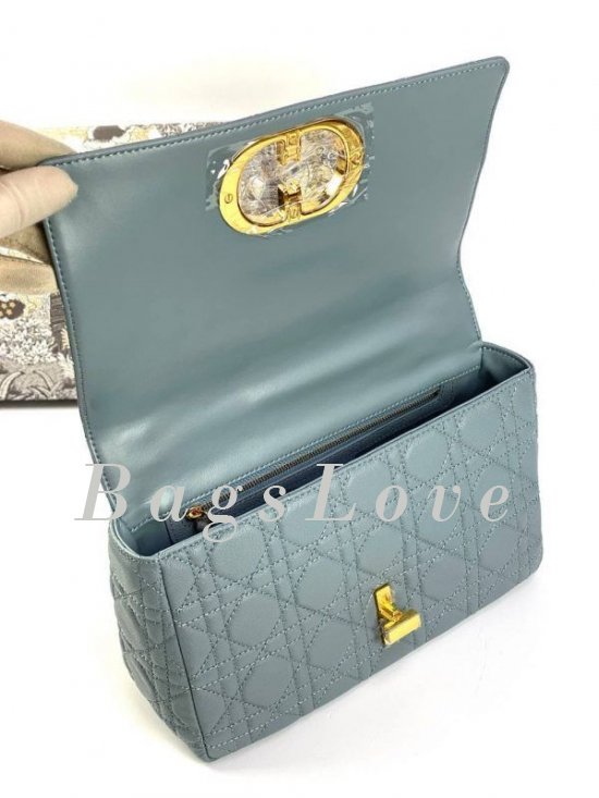 Женская сумка Christian Dior B107921