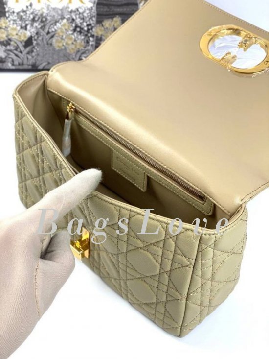 Женская сумка Christian Dior B107923