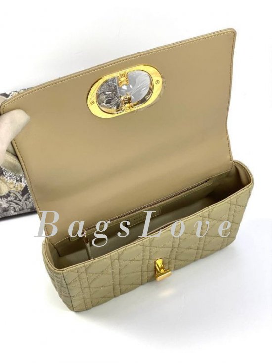 Женская сумка Christian Dior B107923