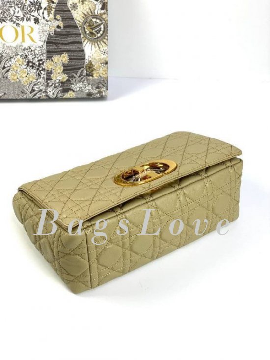 Женская сумка Christian Dior B107923