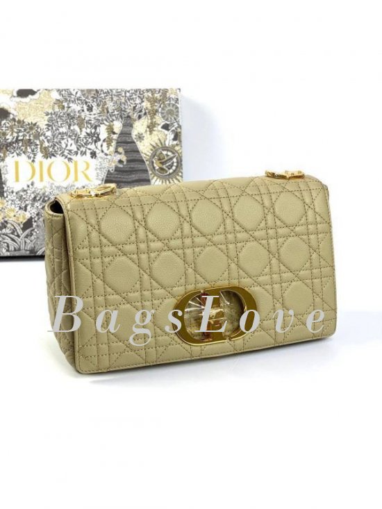 Женская сумка Christian Dior B107923