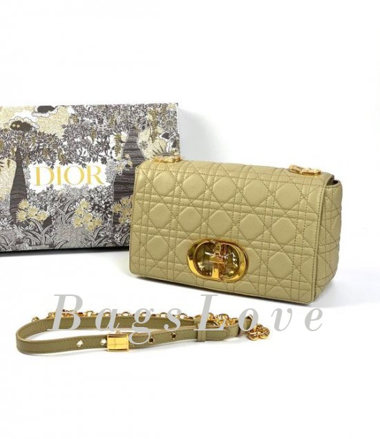 Женская сумка Christian Dior B107923