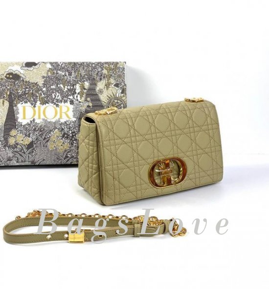 Женская сумка Christian Dior B107923