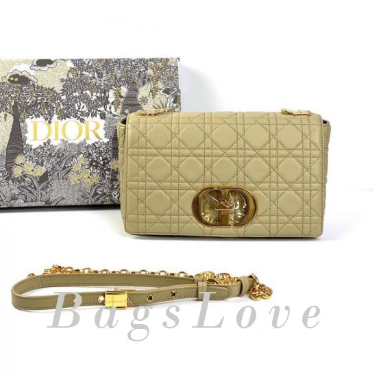 Женская сумка Christian Dior B107923