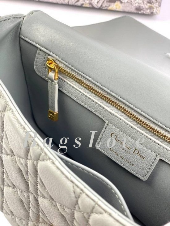 Женская сумка Christian Dior B107924