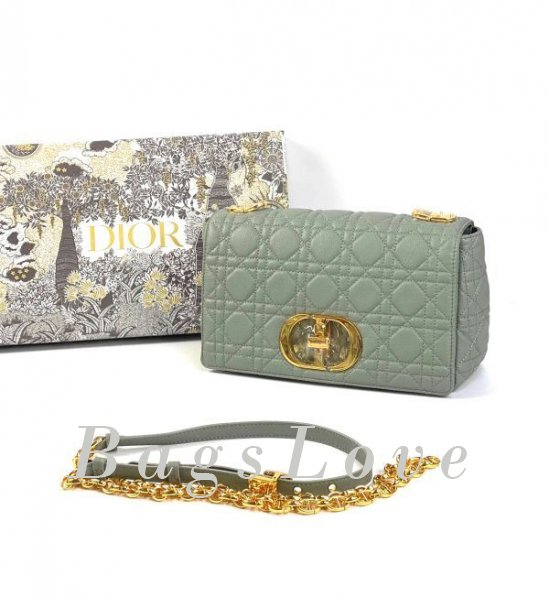 Женская сумка Christian Dior B107924