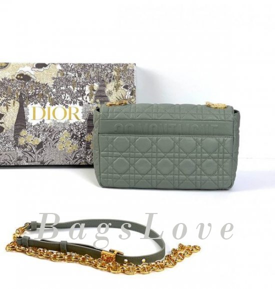 Женская сумка Christian Dior B107924