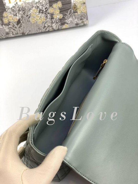 Женская сумка Christian Dior B107924