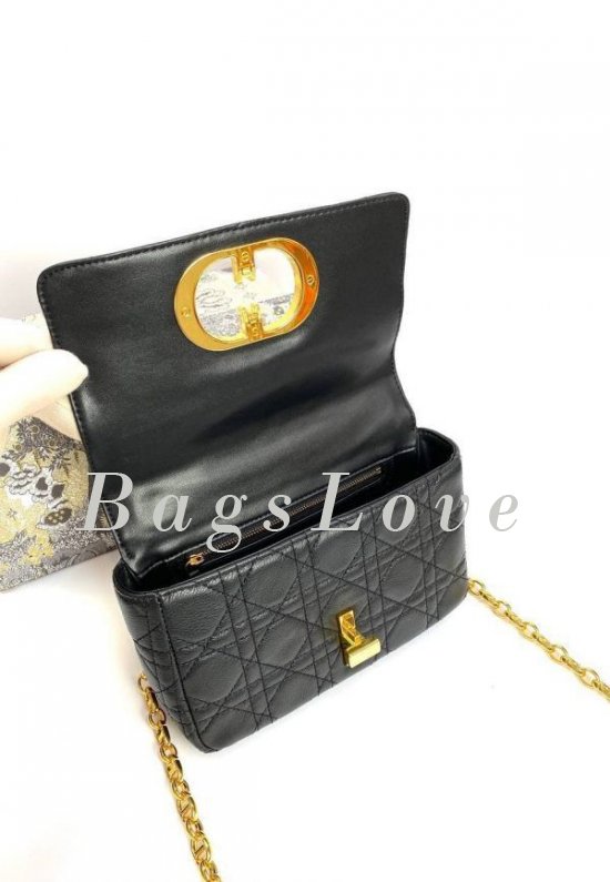 Женская сумка Christian Dior B107926