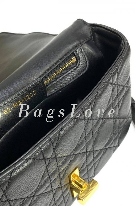 Женская сумка Christian Dior B107926