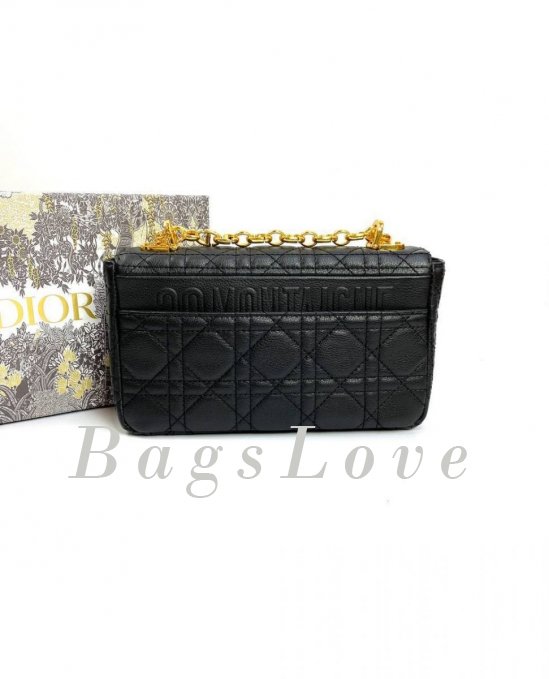 Женская сумка Christian Dior B107926