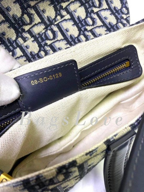 Женская сумка Christian Dior B107927