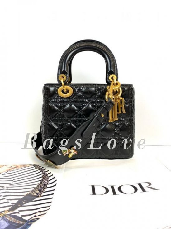 Женская сумка Christian Dior B107928