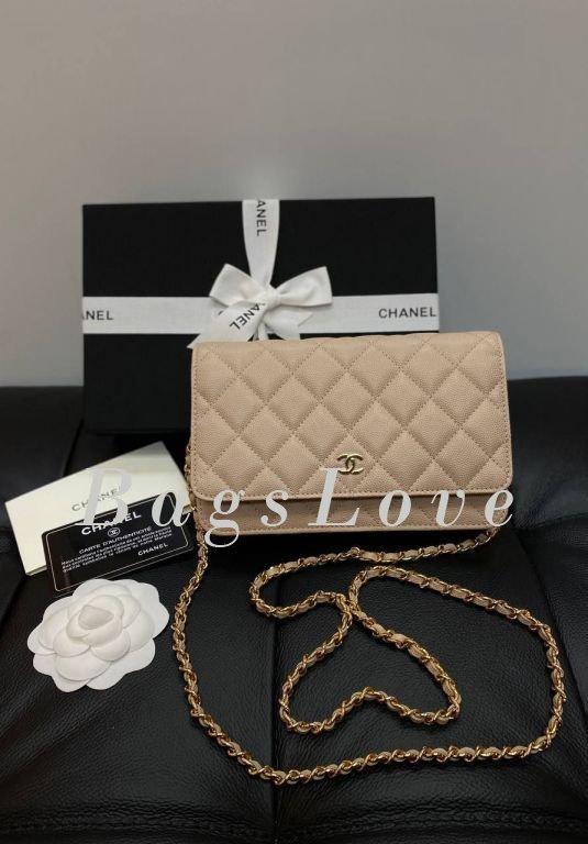 Женская сумка Chanel B107933