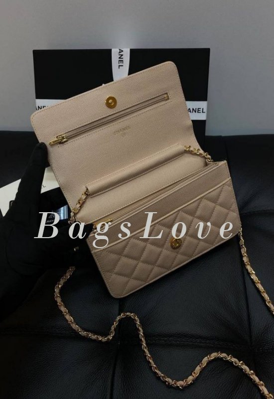 Женская сумка Chanel B107933