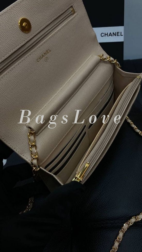 Женская сумка Chanel B107933