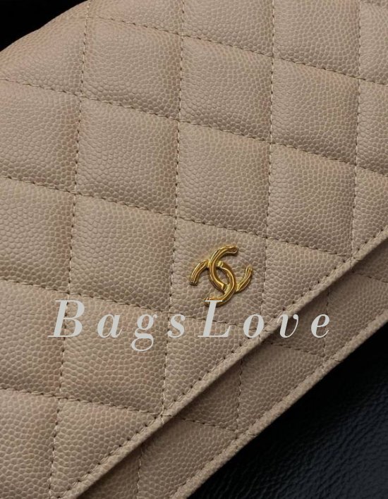 Женская сумка Chanel B107933