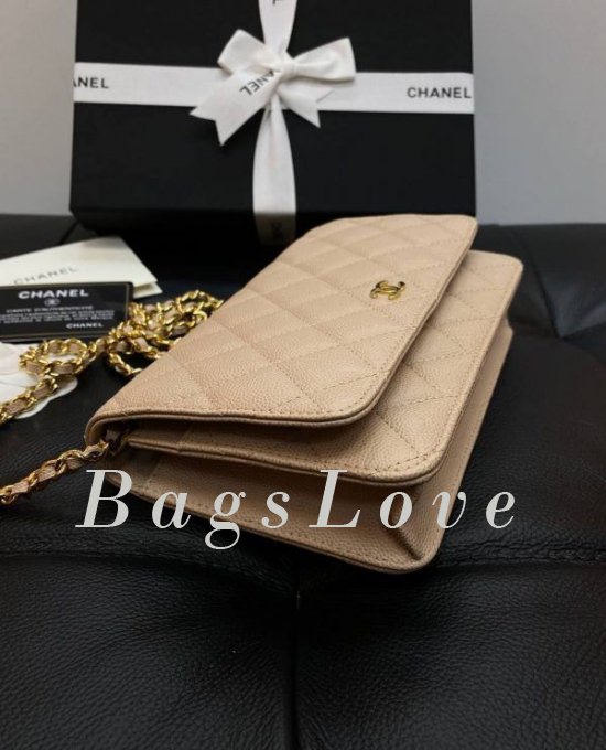 Женская сумка Chanel B107933