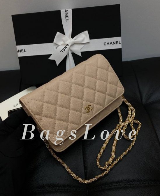 Женская сумка Chanel B107933