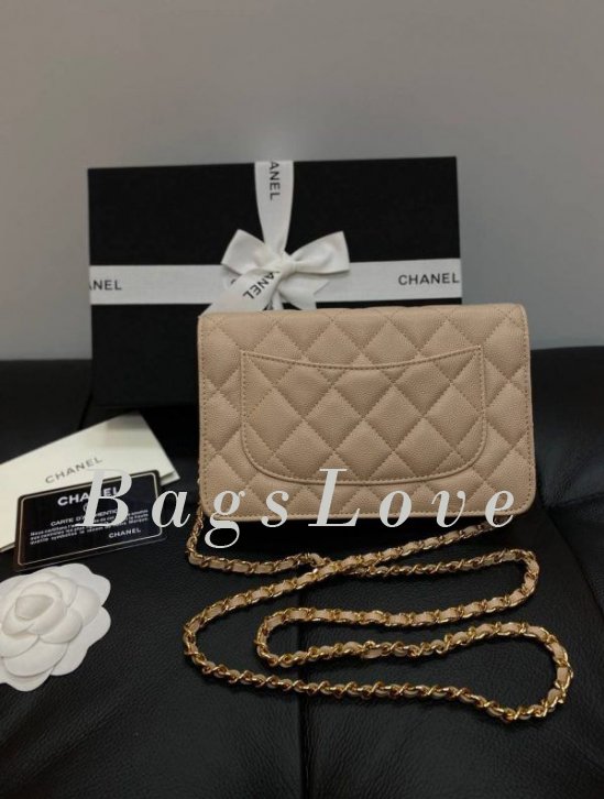 Женская сумка Chanel B107933