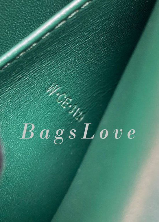 Женская сумка Celine B107985