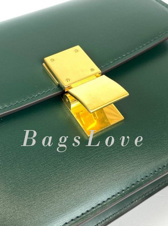 Женская сумка Celine B107985