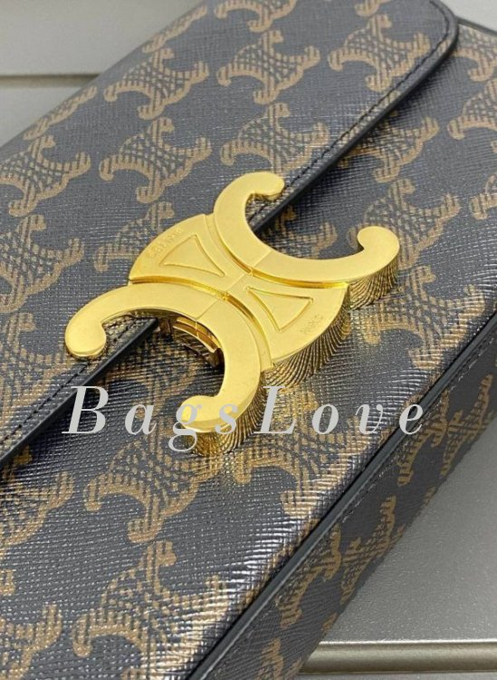 Женская сумка Celine B107989