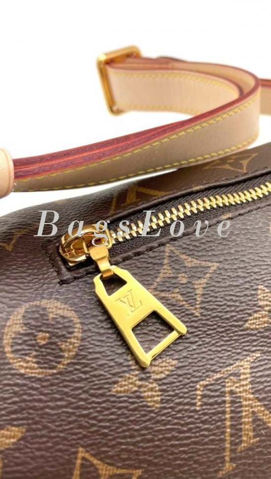 Женская сумка Louis Vuitton B108009