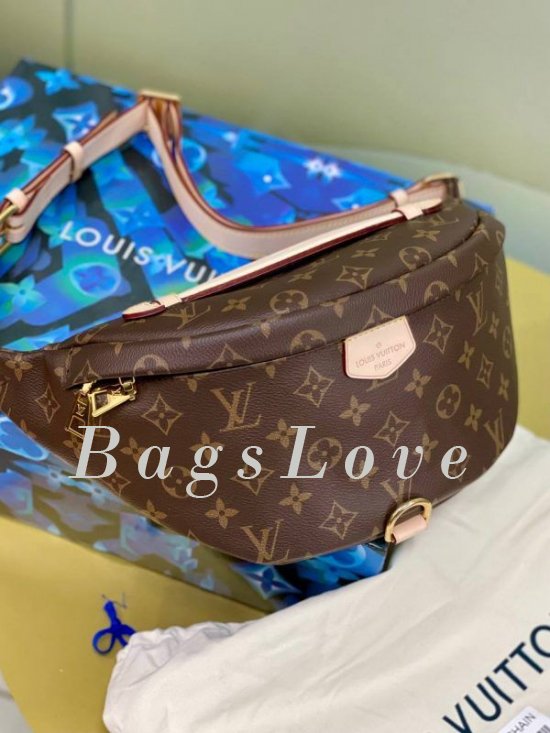 Женская сумка Louis Vuitton B108009