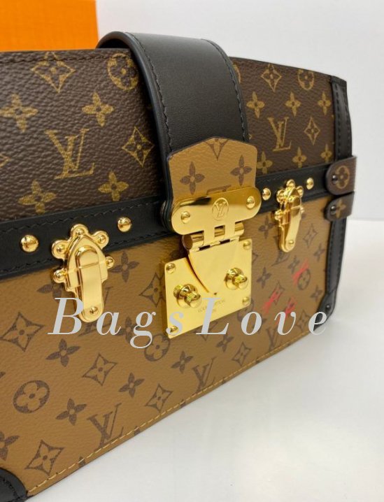 Женская сумка Louis Vuitton B108012