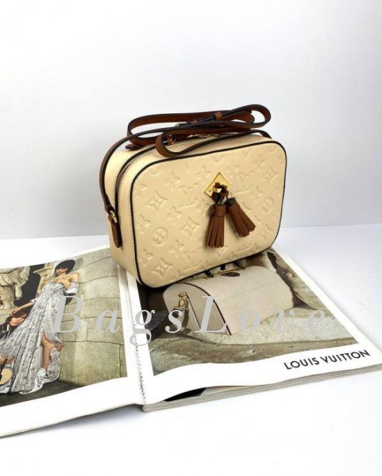 Женская сумка Louis Vuitton B108025