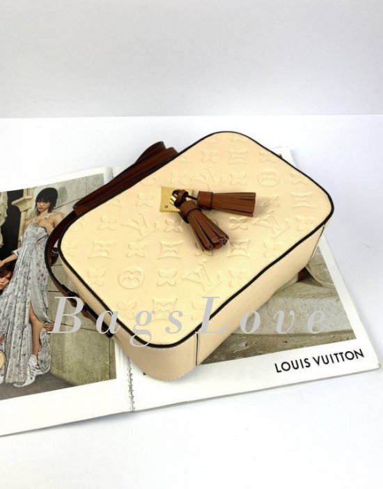 Женская сумка Louis Vuitton B108025