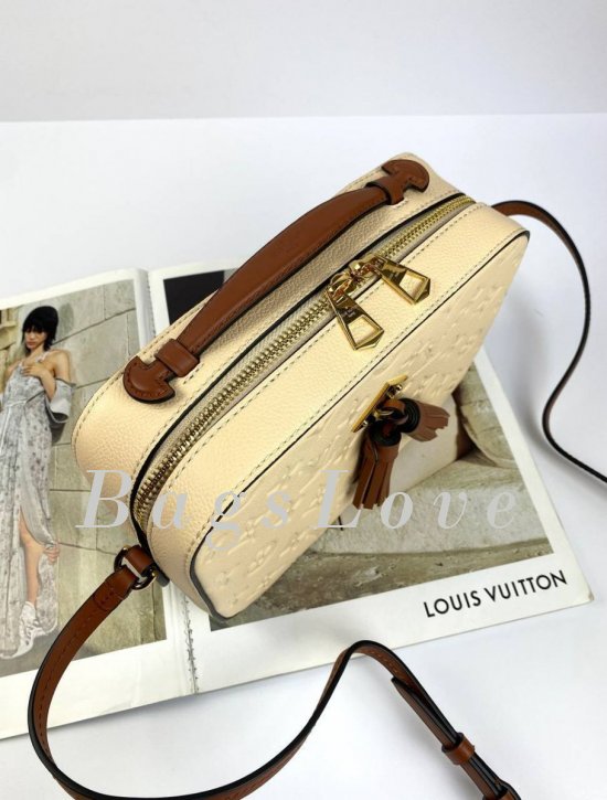 Женская сумка Louis Vuitton B108025