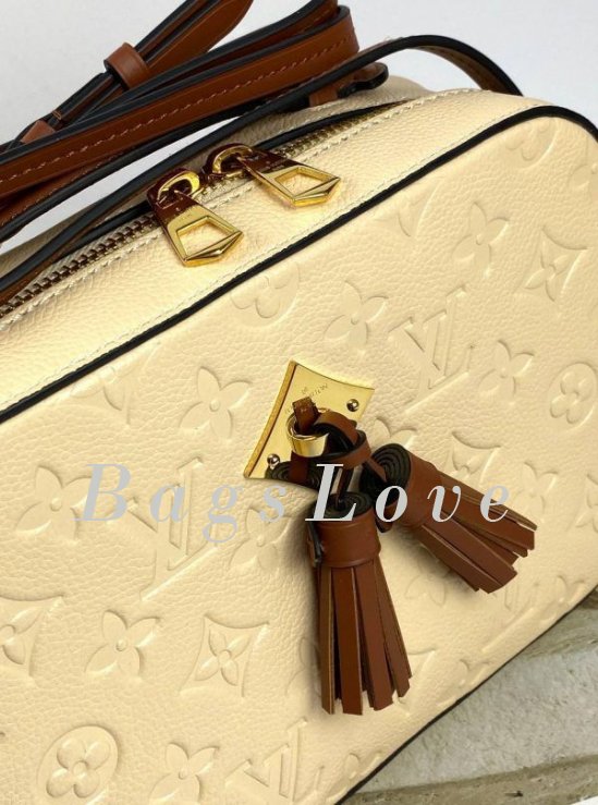 Женская сумка Louis Vuitton B108025