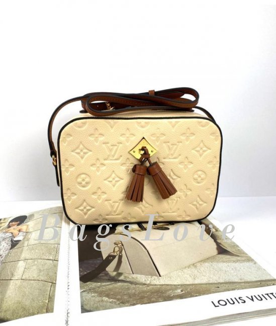 Женская сумка Louis Vuitton B108025