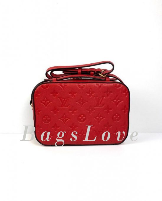 Женская сумка Louis Vuitton B108026