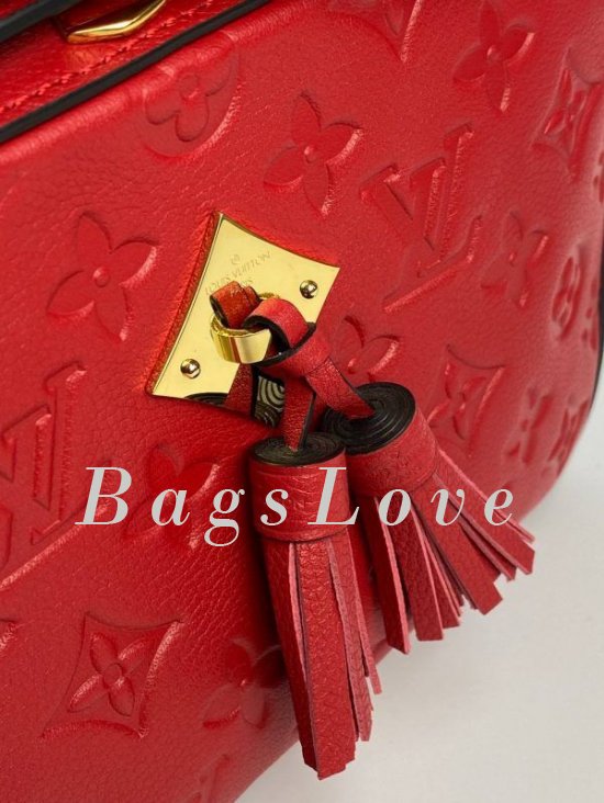 Женская сумка Louis Vuitton B108026