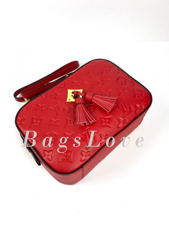 Женская сумка Louis Vuitton B108026