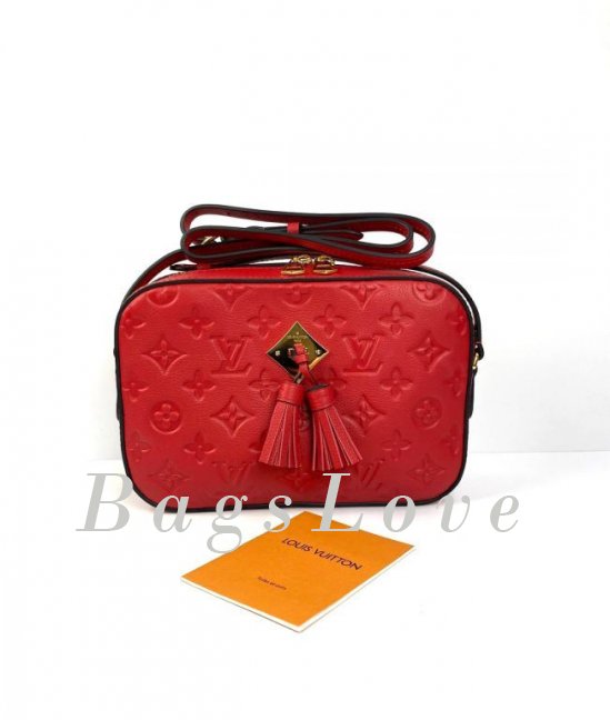 Женская сумка Louis Vuitton B108026