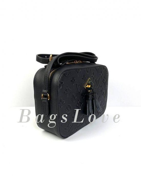 Женская сумка Louis Vuitton B108027