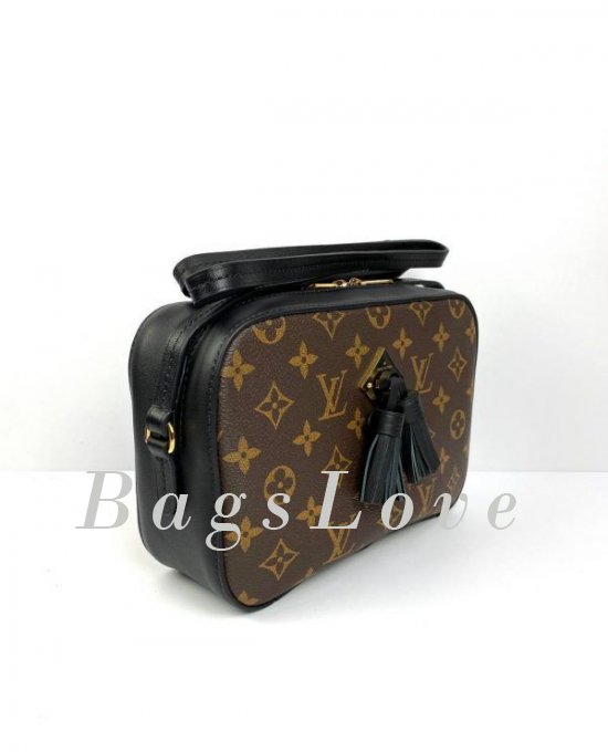 Женская сумка Louis Vuitton B108028