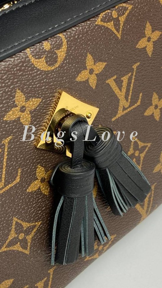 Женская сумка Louis Vuitton B108028