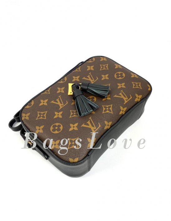 Женская сумка Louis Vuitton B108028
