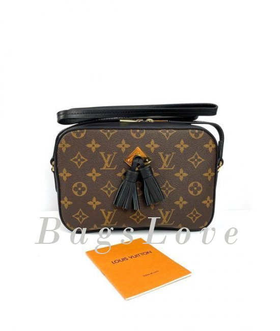 Женская сумка Louis Vuitton B108028