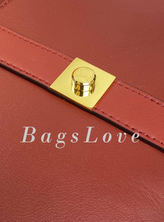 Женская сумка Louis Vuitton B108037