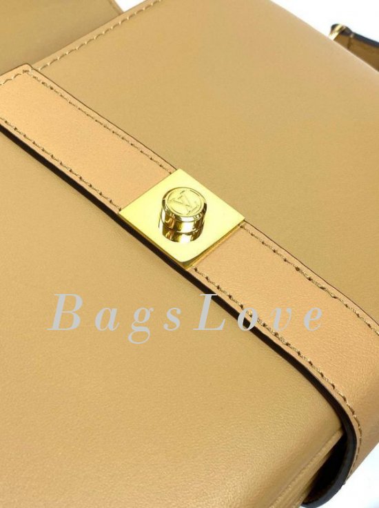 Женская сумка Louis Vuitton B108038